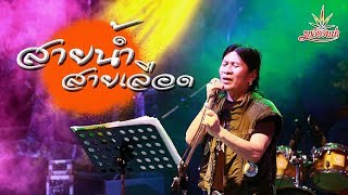 สายน้ำ สายเลือด - มาลีฮวนน่า (Official Lyrics) chords