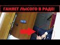 Илья Кива ДР*ЧИТ прямо на заседании Верховной Рады