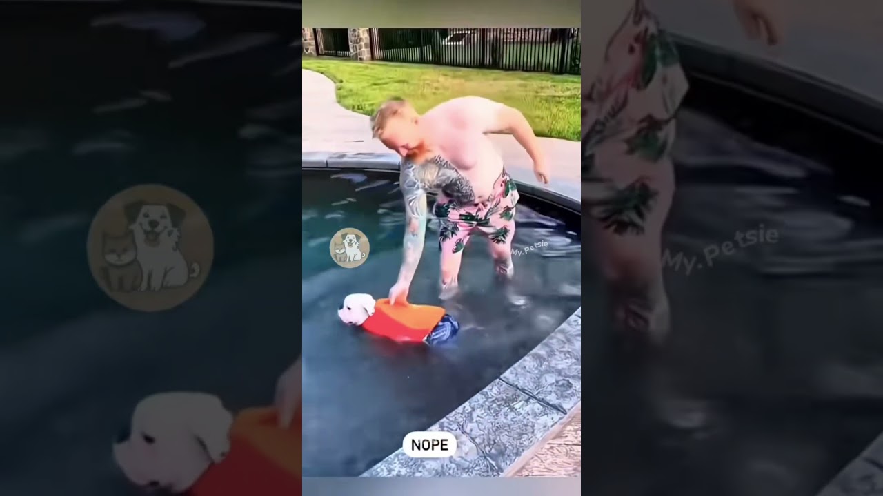Los Perros y el Agua jajaja 🐾🐕🌊 #shorts #funny #perros