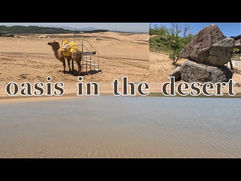 【Japan】【Tottori】Tottori Sand Dunes