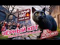 Чёрный Кот Кавер С Новыми Куплетами Танцевальный Шансон