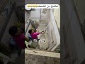 هتموت من الضحك حمو المحارب اكسبلور هتضحك Fouryou ضحك هتموت من الضحك حمو المحارب اكسبلور هتضحك Fouryou ضحك