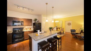 Tour of Deluxe 2 Bed/ 2 Bath