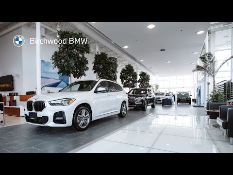 Executive Dealership