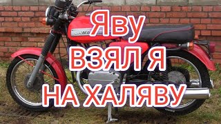 КЛИП СЕКТОР ГАЗА ЯВУ ВЗЯЛ Я НА ХАЛЯВУ!!!