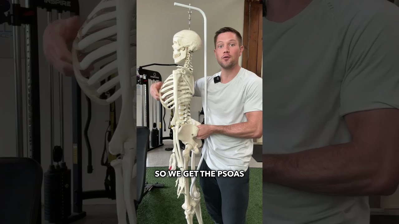 Unlock This Muscle To Your Low Back Lowbackpain Chronicpain Backpain Backpainrelief