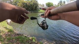 Urban Fishing Miami, FL Coral Gables Waterway (Strictly Artificial Lures)