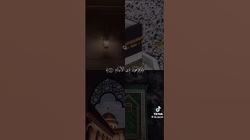 سورة الفجر ❤️🤍 تلاوه خاشعه الشيخ ماهر المعيقلي 🎧❤️