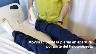FHES  Prótesis de cadera. Recomendaciones previas y ejercicios posoperatorios