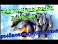 рыбалка в глухозимье, где искать рыбу в марте