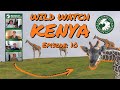 Wildwatch with Us Ep. 10