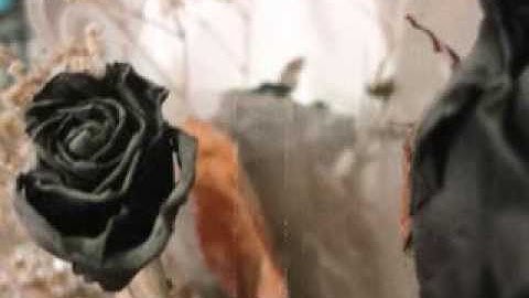 Alexander Veljanov - Empty Heart