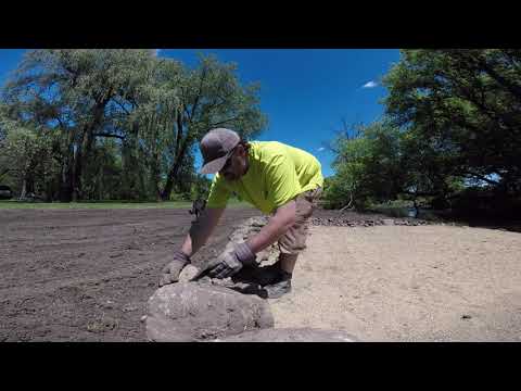 Video: I made a beach in my backyard
