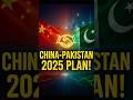 Joint Venture Between Pakistan &amp; China
