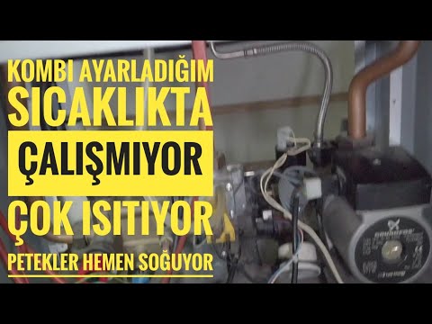 Video: Erkek ve Dişi Köpeklerin Neden “Sabit” Olsalar Neden Sıkıyorlar?