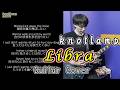 Libra - knotlamp【歌詞付き】ギターカバー【弾いてみた】