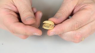 You've Been Opening Pistachios Wrong Your Entire Life by Mad Scientist 19,845 views 2 years ago 1 minute, 14 seconds