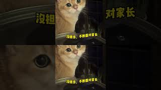 眼睛没有丝毫害羞，充满了对这门婚事的期待