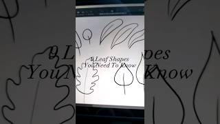 9 Leaf Shapes You Need To Know To Improve your Artwork #botanicalart #leafdrawing #drawingtutorial