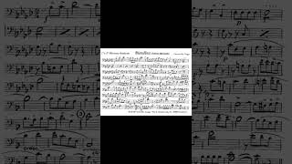 Biondina - Gesualdo Coggi Scherzo Marciabile