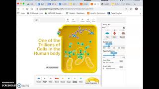 3.2 Sim cells