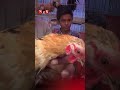 Found on YouTube: একটি মুরগির দাম ৪০ হাজার টাকা! #rajshahinews #somoytv