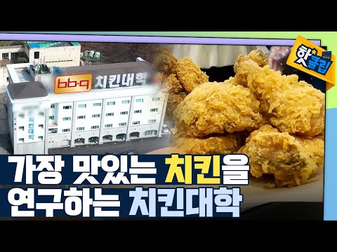 [핫클립] 치킨대학에서 진행되는 맛의 연구 / YTN 사이언스