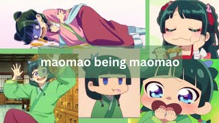 maomao being ✨maomao✨