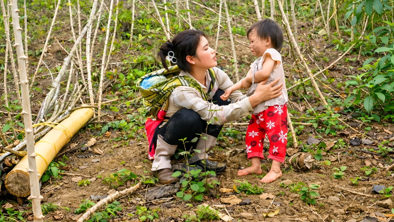 Found an abandoned baby in the forest, took it in and cared for it - Picked oranges to sell