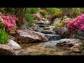 Relaxing Music That Washes Away Stress & Worry 🌸 Perfect Anti-Stress Music ~ Relax the Brain ♥️