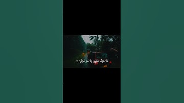 أكتب شيء تؤجر عليه ❤️‍🩹 القارئ  محمد أيوب