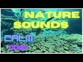 Aquarium im Alpenzoo Innsbruck Tirol - 15 Minuten Entspannung mit Hydrophon Infra Sound und Musik