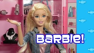 Japanese Barbie + Disney Princess Dolls