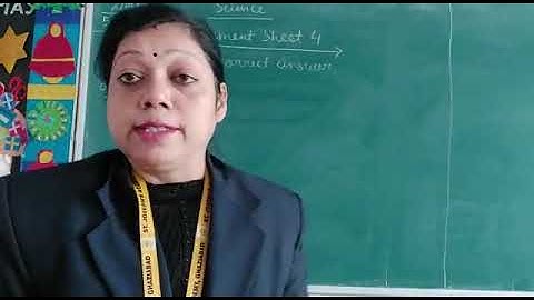 Class 4, Science, Assessment Sheet 4 by Anubhuti Saxena