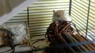 CIMG0146.AVI