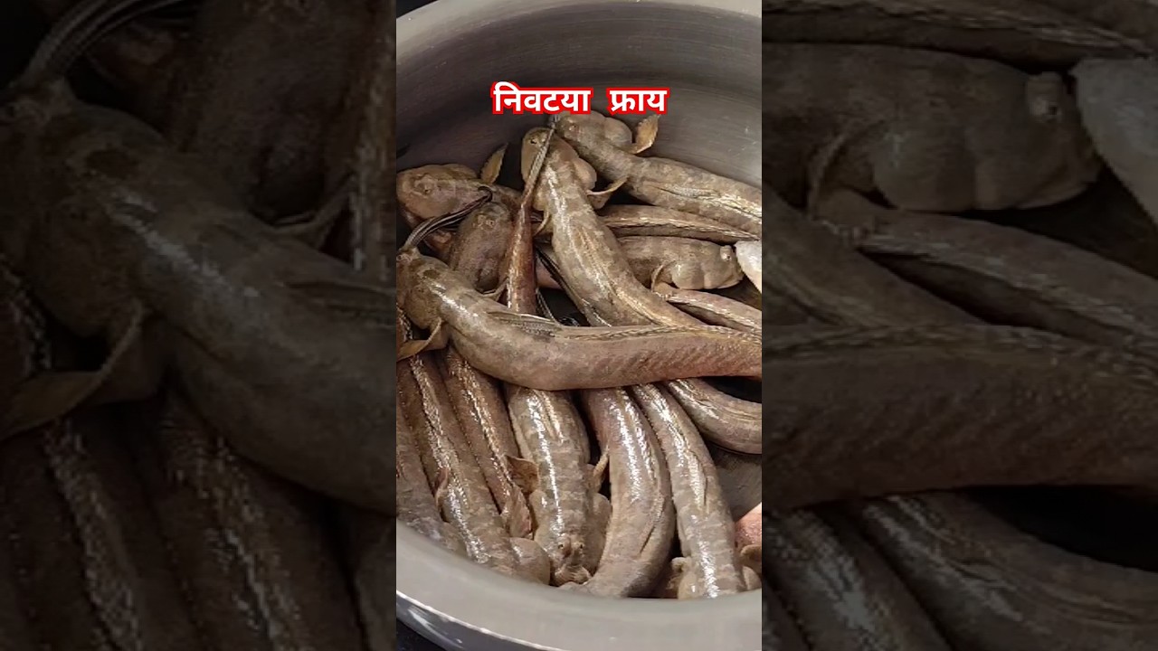 निवटया फ्राय