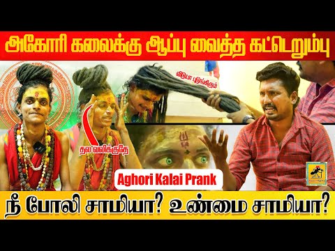 Aghori Kalaiyarasan Prank | சக்தி குறைந்த நிலையில் அகோரி கலையரசன் | Katta Erumbu