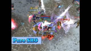 Pure SRO #Team_Da3sh Vs any Npc Hunter