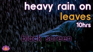 [Black Screen] Heavy Rain on Leaves | Rain Ambience No Thunder | Rain Sounds for Sleeping screenshot 5