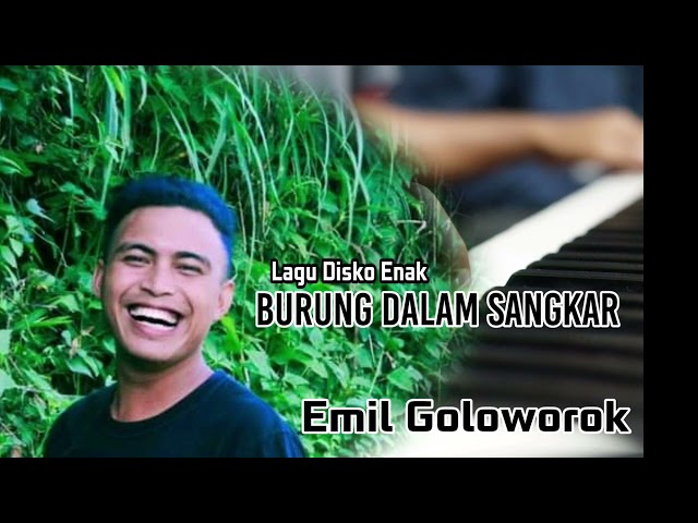 Lagu BURUNG DALAM SANGKAR versi Dangsa Timor cover oleh Emil Golowok #emilgoloworok #titoiksan class=