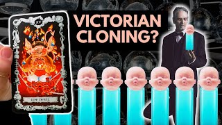 The Untold Story of 1800s Cabbage Patch Kids Psychic Tarot Reading