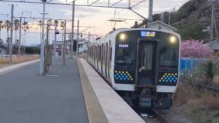 【電車から変な音？】内房線E131系80番台R12編成 ワンマン上総一ノ宮行き 浜金谷駅入線
