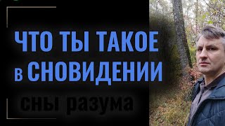 Чем является реальность на самом деле | Что значит просветлеть, зачем и как пробудиться