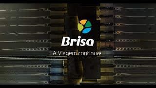 screenshot of the youtube video