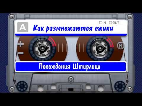 Штирлиц или как размножаются ежики аудиокнига скачать