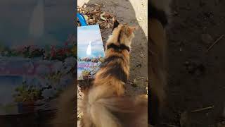 видео: Две Бездомные Подружки Попили Молока! картинка: Две Бездомные Подружки Попили Молока!