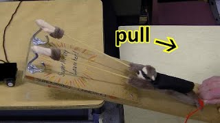 Famous Song: A Force is a Push or a Pull Net Worth