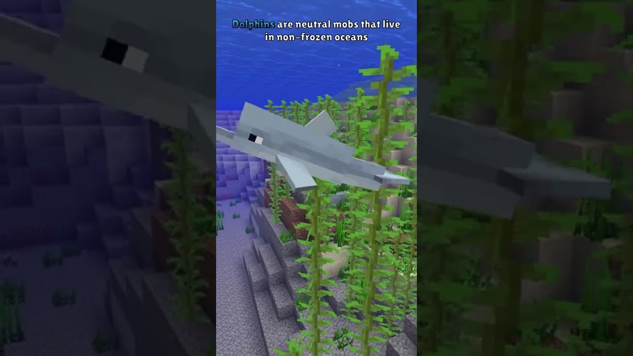 TAMED DOLPHINS and SUPER SPEED in Vanilla Minecraft