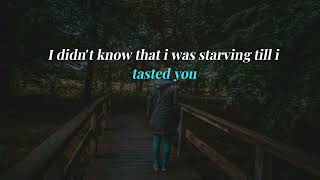 Hailee Steinfeld, Grey - Starving ft. Zedd (Lyric Video)