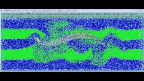 C. elegans swimming simulation with 2 times less resolution